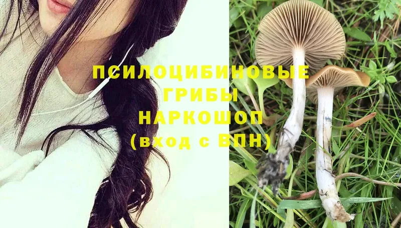 Псилоцибиновые грибы MAGIC MUSHROOMS  Гаджиево 